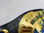 Oval Intercontinental Championship Belt | Elite Belts - Image 5