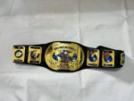 Oval Intercontinental Championship Belt | Elite Belts