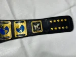 Oval Intercontinental Championship Belt | Elite Belts - Image 9