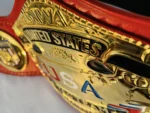 NWA United States Tag Team Championship Belt | Elite Belts - Image 12