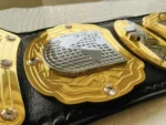 TNA World Heavyweight Championship Belt | Elite Belts - Image 2