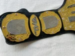 TNA World Heavyweight Championship Belt | Elite Belts - Image 6