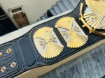 Winged Eagle Dual Plated Championship Replica Title Belt | Elite Belts - Image 4