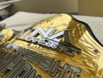 TNA World Heavyweight Championship Belt | Elite Belts - Image 9