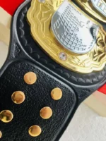 TNA World Heavyweight Championship Belt | Elite Belts - Image 10