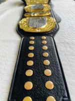 TNA World Heavyweight Championship Belt | Elite Belts - Image 11