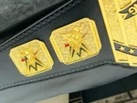 3D Nuggets Intercontinental Championship Belt | Elite Belts - Image 7