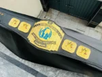 3D Nuggets Intercontinental Championship Belt | Elite Belts