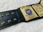 European Championship Replica Belt | Elite Belts - Image 4