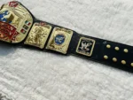 European Championship Replica Belt | Elite Belts - Image 8