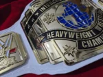 2014 Intercontinental Championship Replica Title Belt | Elite Belts - Image 5