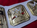 2014 Intercontinental Championship Replica Title Belt | Elite Belts - Image 7