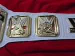 2014 Intercontinental Championship Replica Title Belt | Elite Belts - Image 8