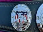 Professional Wrestling Heavyweight Championship Belt | Elite Belts - Image 6