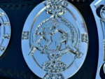 Professional Wrestling Heavyweight Championship Belt | Elite Belts - Image 7