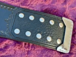 Professional Wrestling Heavyweight Championship Belt | Elite Belts - Image 10