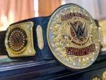 Diecast World Tag Team Championship Replica Title Belt | Elite Belts - Image 3