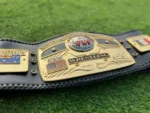 NWA Dome Globe Championship Belt | Elite Belts - Image 2