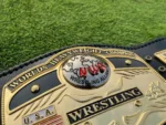 NWA Dome Globe Championship Belt | Elite Belts