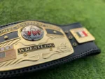 NWA Dome Globe Championship Belt | Elite Belts - Image 5