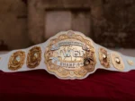 IWGP INTERCONTINENTAL DOUBLE STACKED Championship Belt | Elite Belts - Image 2